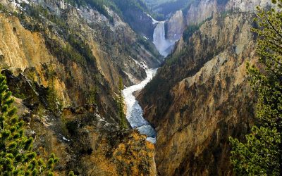 Rollistan i Yellowstone