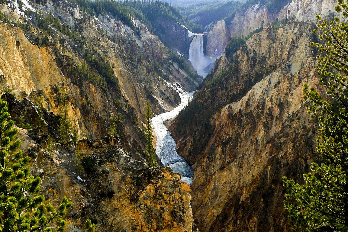 Rollistan i Yellowstone