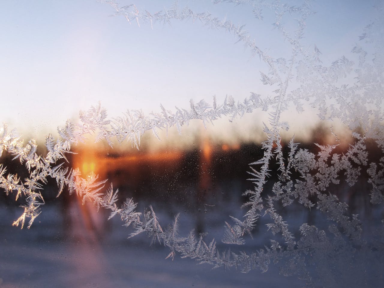 pexels-pixabay-266991 (1)